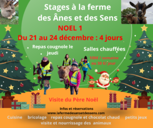 Stage Noël 1 du 21 au 24 décembre 2026 ( 4 jours jeudi férié) :