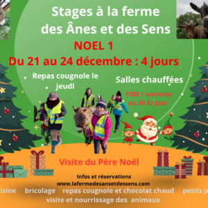 Stage Noël 1 du 21 au 24 décembre 2026 ( 4 jours jeudi férié) :