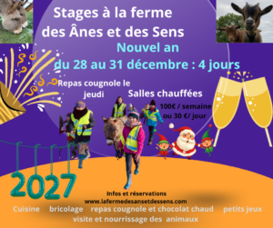 Stage Noël 2 du 28 au 31 décembre  2026 ( 4 jours jeudi férié) :