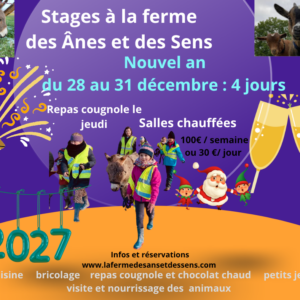 Stage Noël 2 du 28 au 31 décembre  2026 ( 4 jours jeudi férié) :