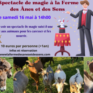 Magicien 16 mai