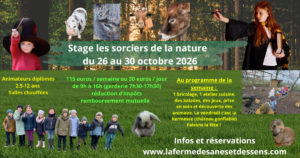 Stage automne 2 l'académie des  Sorciers de la nature 26 au 30 octobre