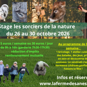 Stage automne 2 l'académie des  Sorciers de la nature 26 au 30 octobre