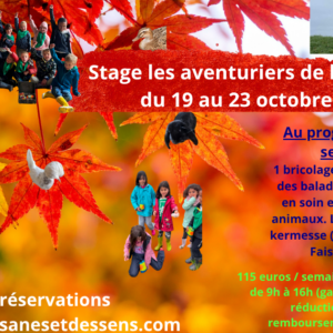 Stage automne 1 Les aventuriers de l'automne du 19 au 23 octobre 2026