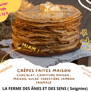 Chandeleur 1/2