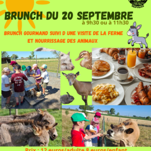 Brunch 20 septembre